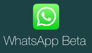 WhatsApp Beta Testing Program