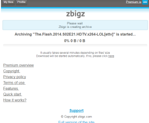 Zbigz Premium Account