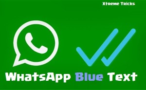 Blue Color Font In WhatsApp