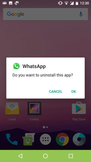 Activate WhatsApp Video Calling