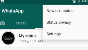 Enable WhatsApp Text Status Feature 