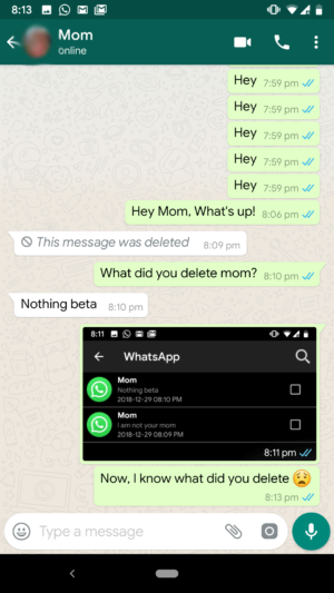 Read Deleted WhatsApp Message (5)